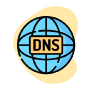 Find DNS records